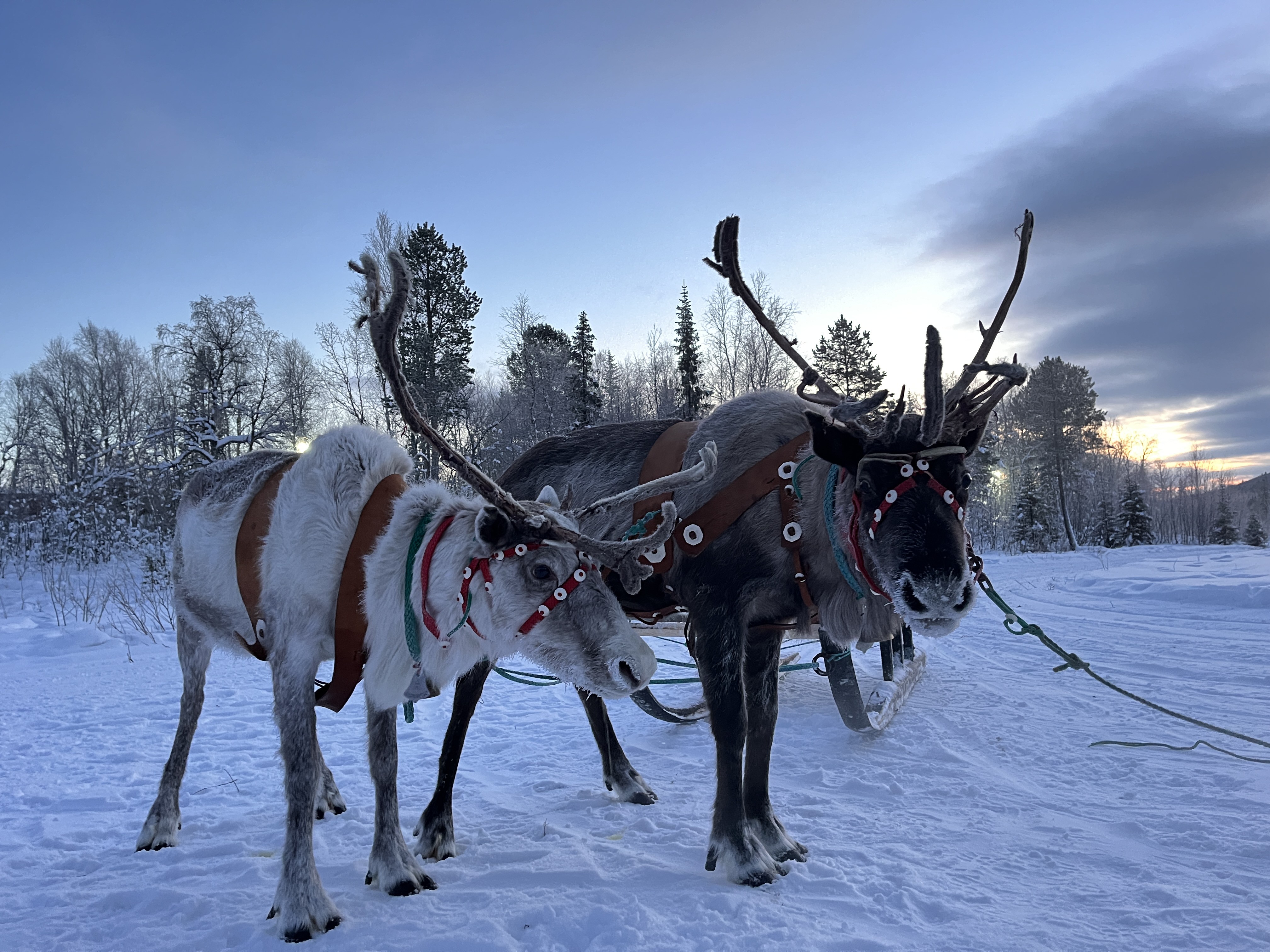 Саамские мотивы 