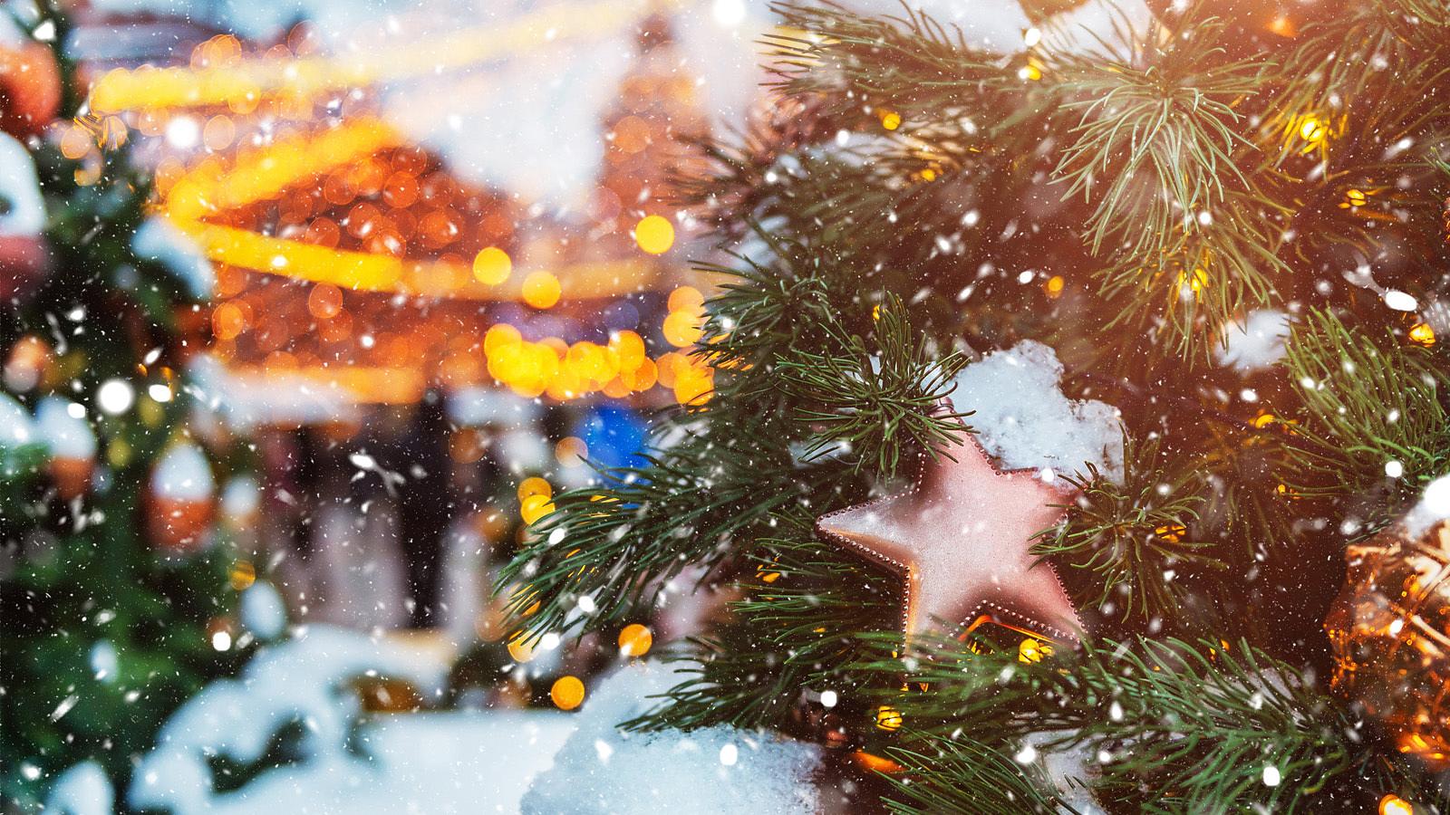 PROАлтай на Рождество