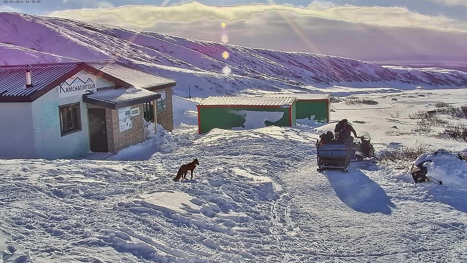 Поездка к подножию Авачинского вулкана на ратраке или на снегоходе (в нарте)