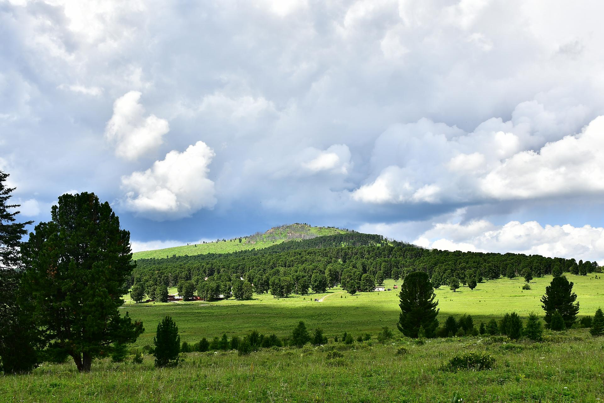 «Влюбись в Алтай за 5 дней» лето