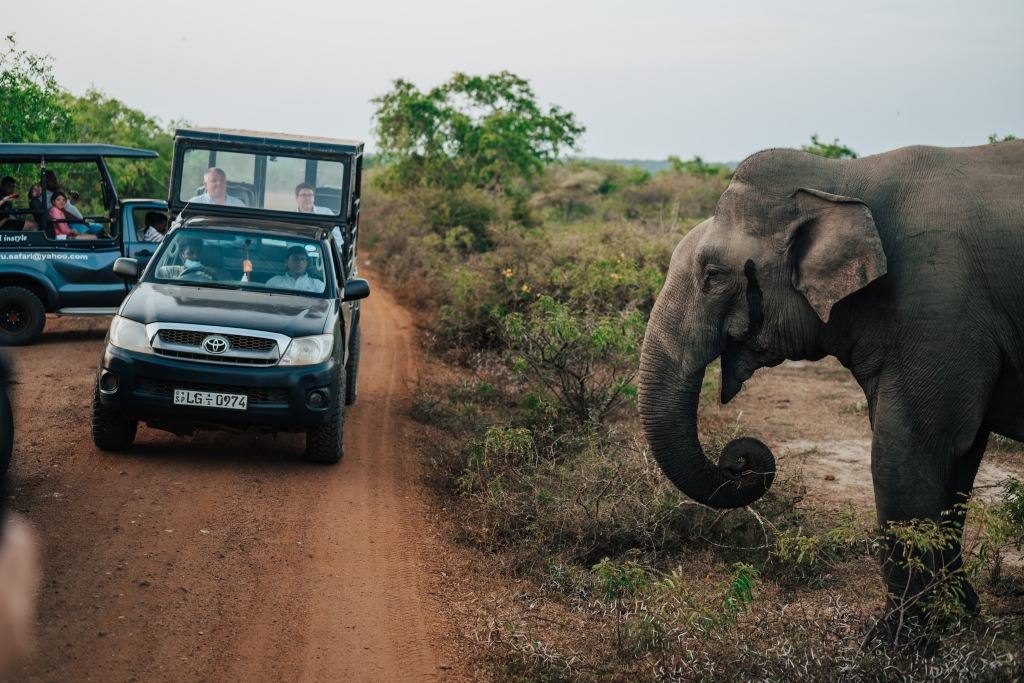 Йога-ретрит «Путь к себе»