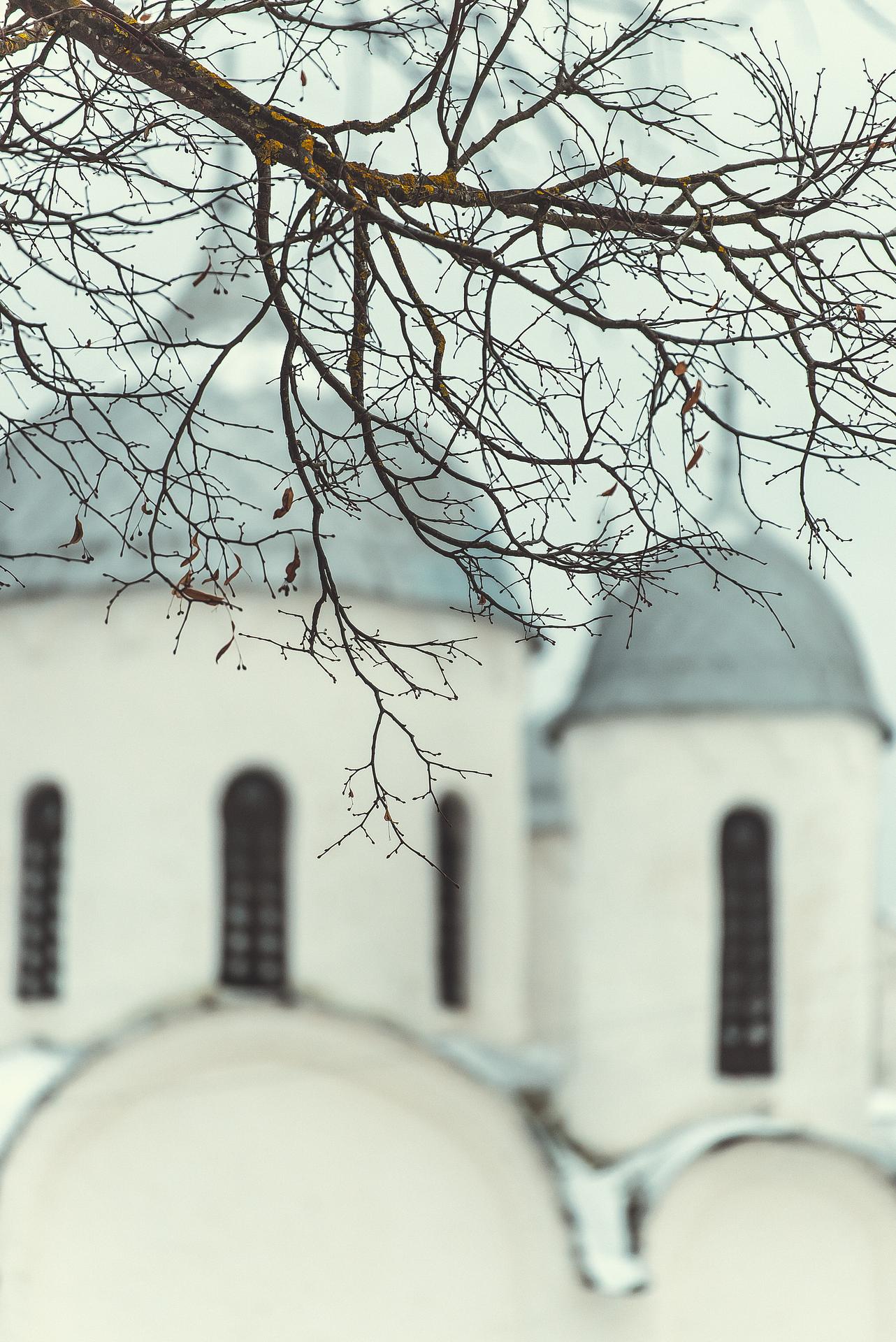 Как псковские лапти к новгородским чуням на Рождество в гости ходили 4 дня (тур из Москвы/из Санкт-Петербурга)