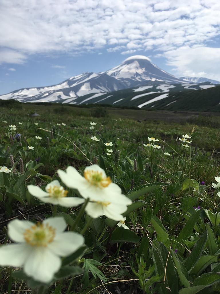 Джип-тур к Авачинскому вулкану (гора Верблюд).