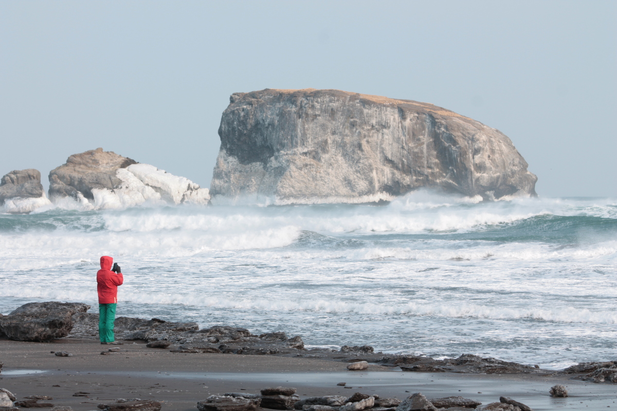 Предновогодняя Камчатка 2025