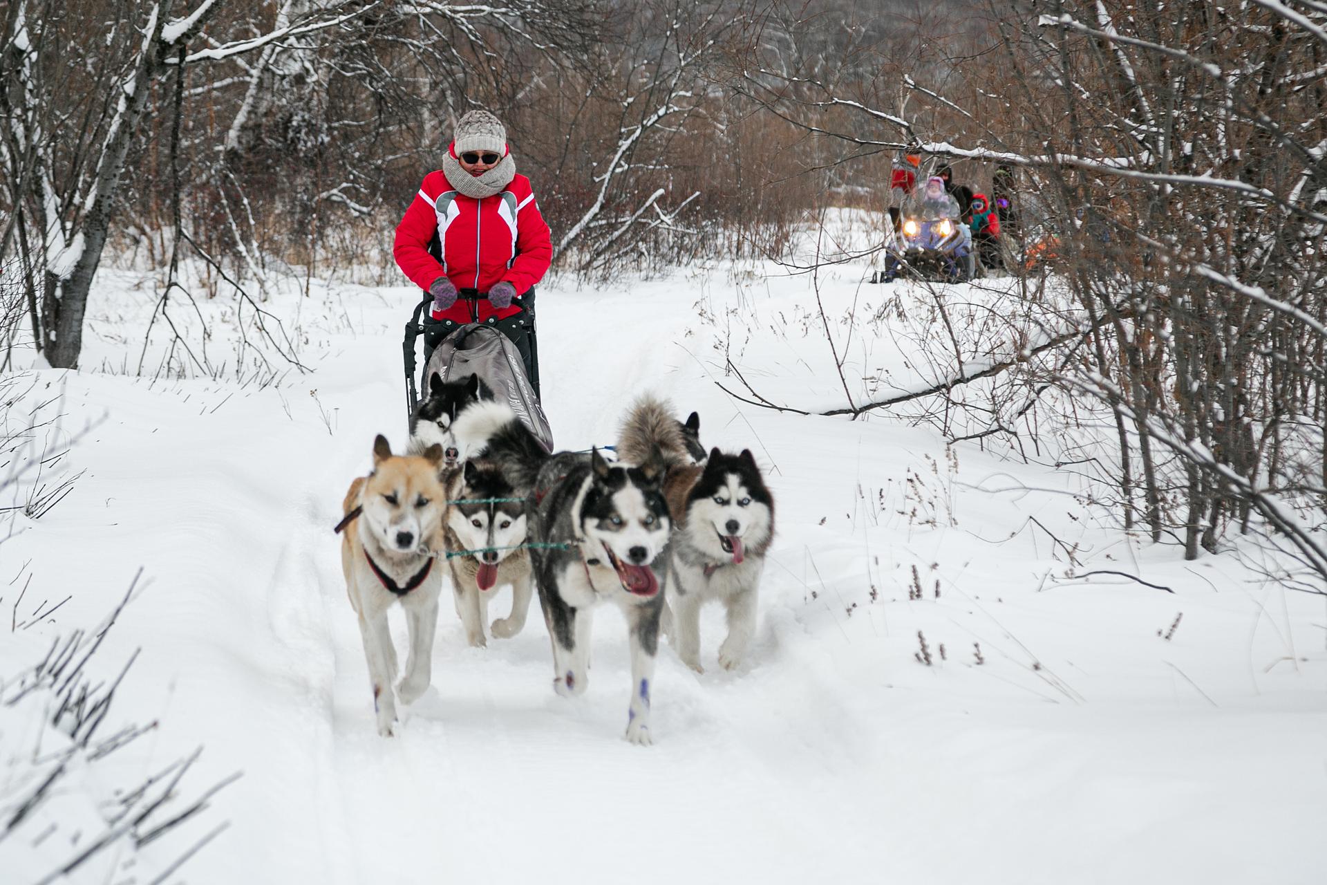Катание на собачьих упряжках, купание в радоновых источниках