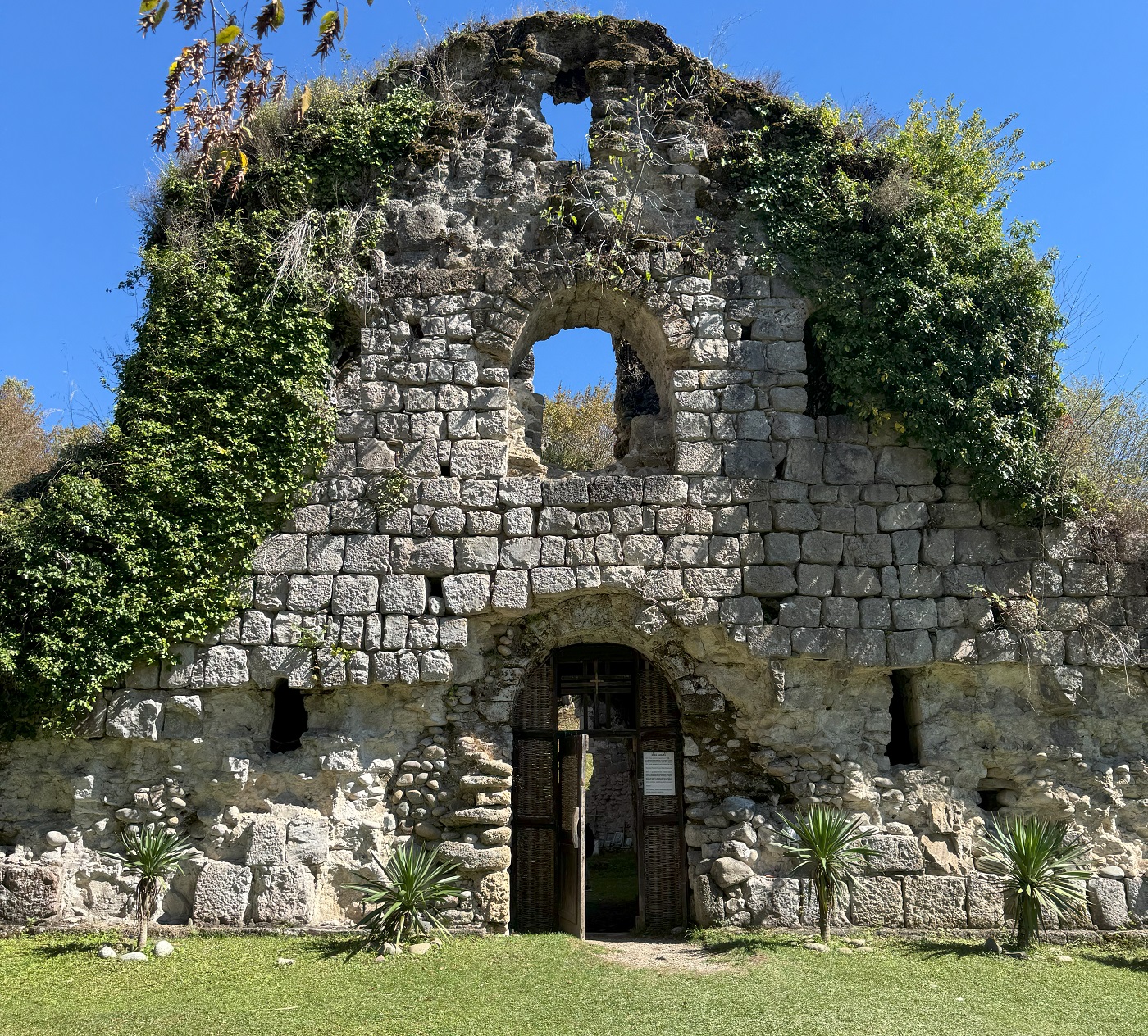 Йога-ретрит в Абхазии «Бархатный сезон»