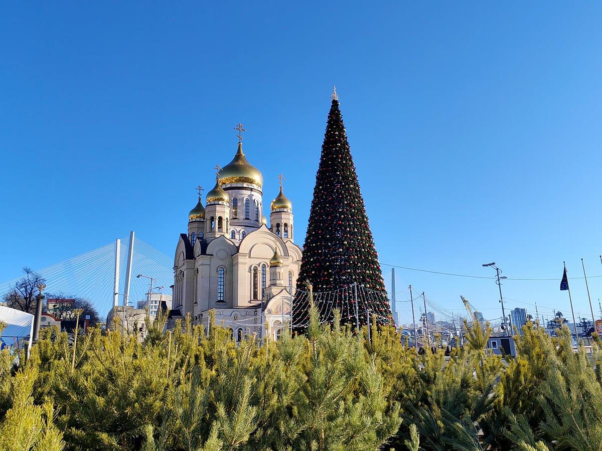Зимний Владивосток: всё за 4 дня!