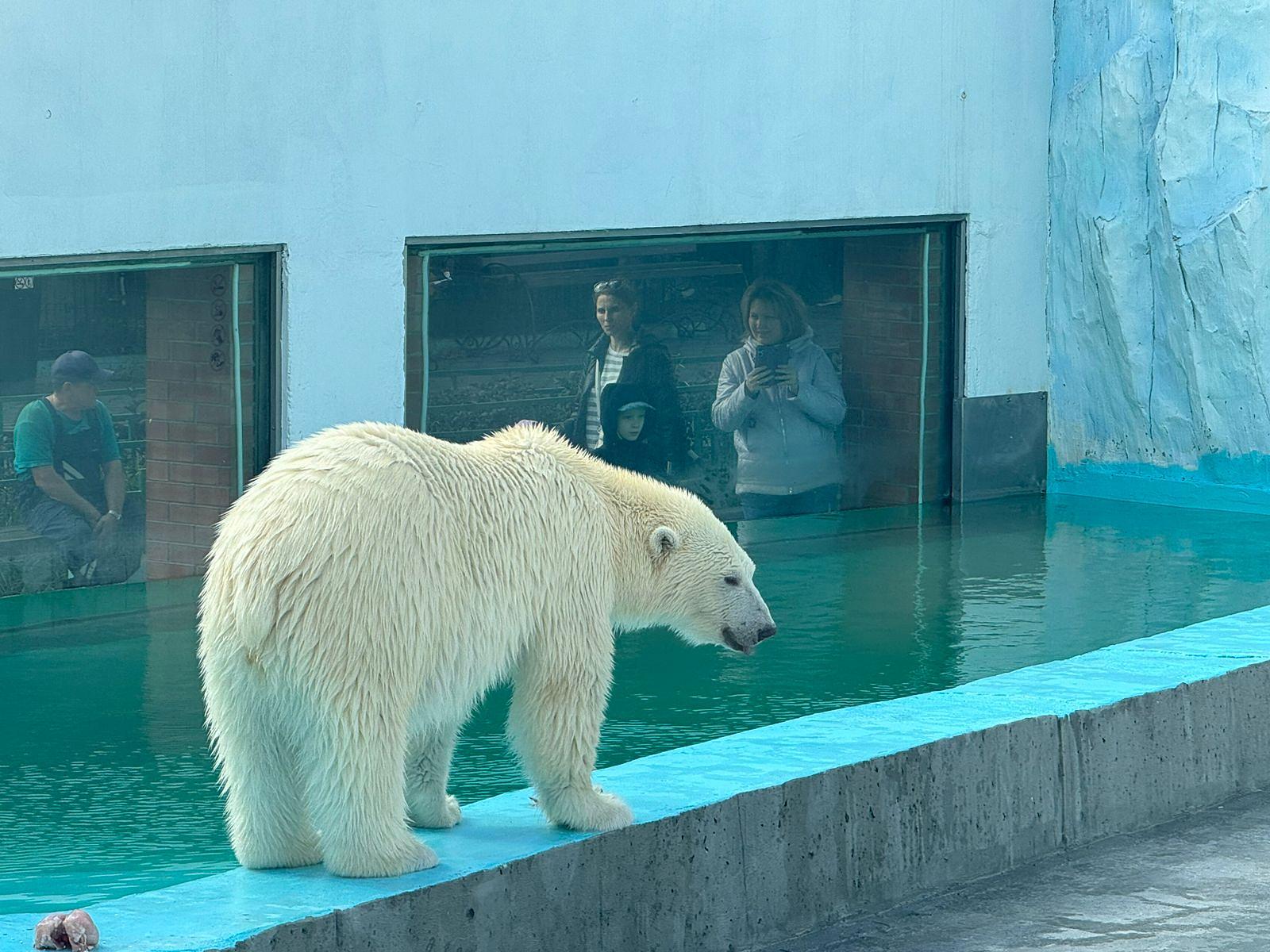Тур в Екатеринбург из Тюмени (Ново-Тихвинский монастырь, Океанариум, Киностудия (мультиплкация), обзорная, завтрак и обед.)