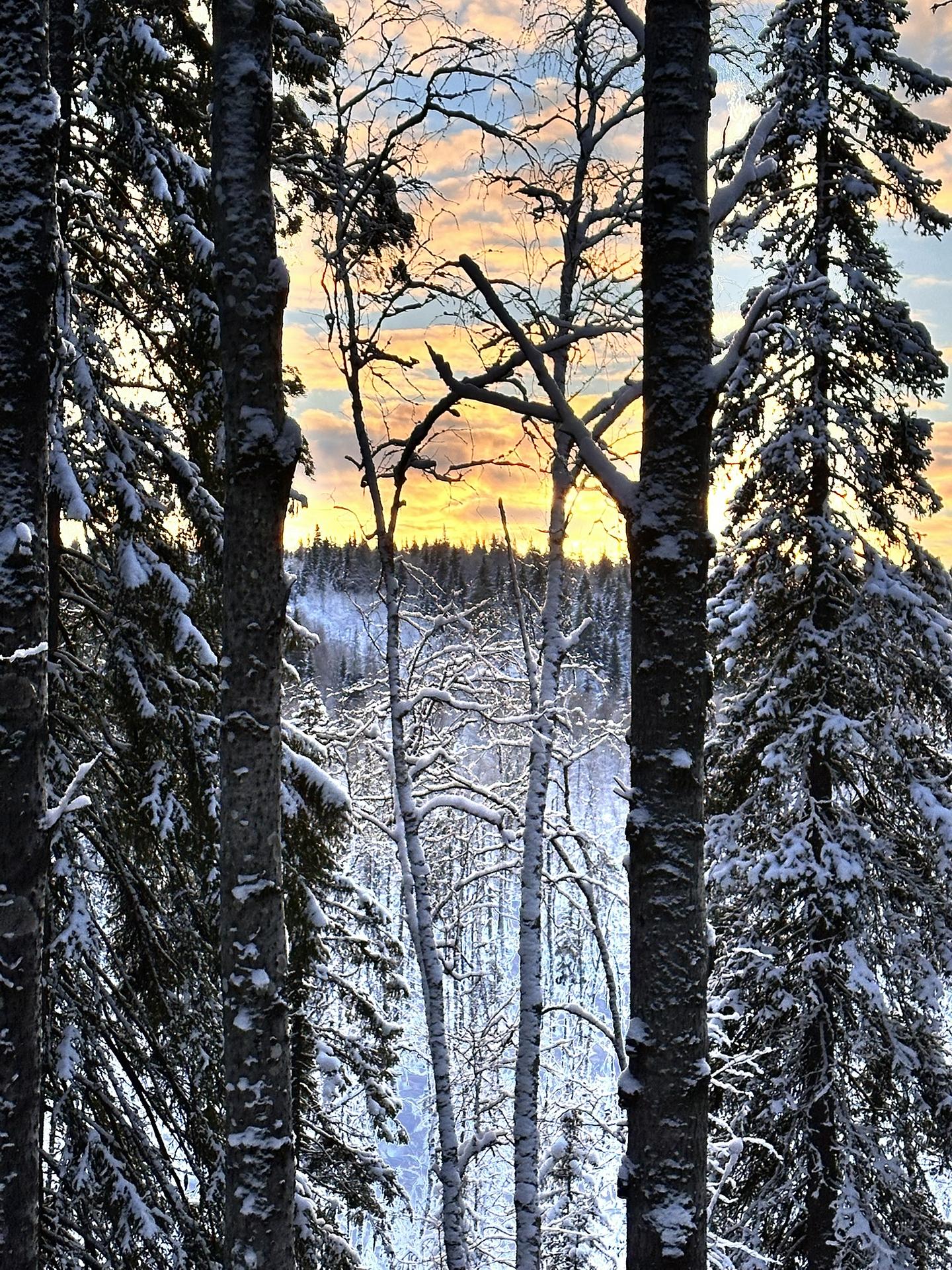 Урочище Куртяево - таинственность и недосказанность мифов и легенд