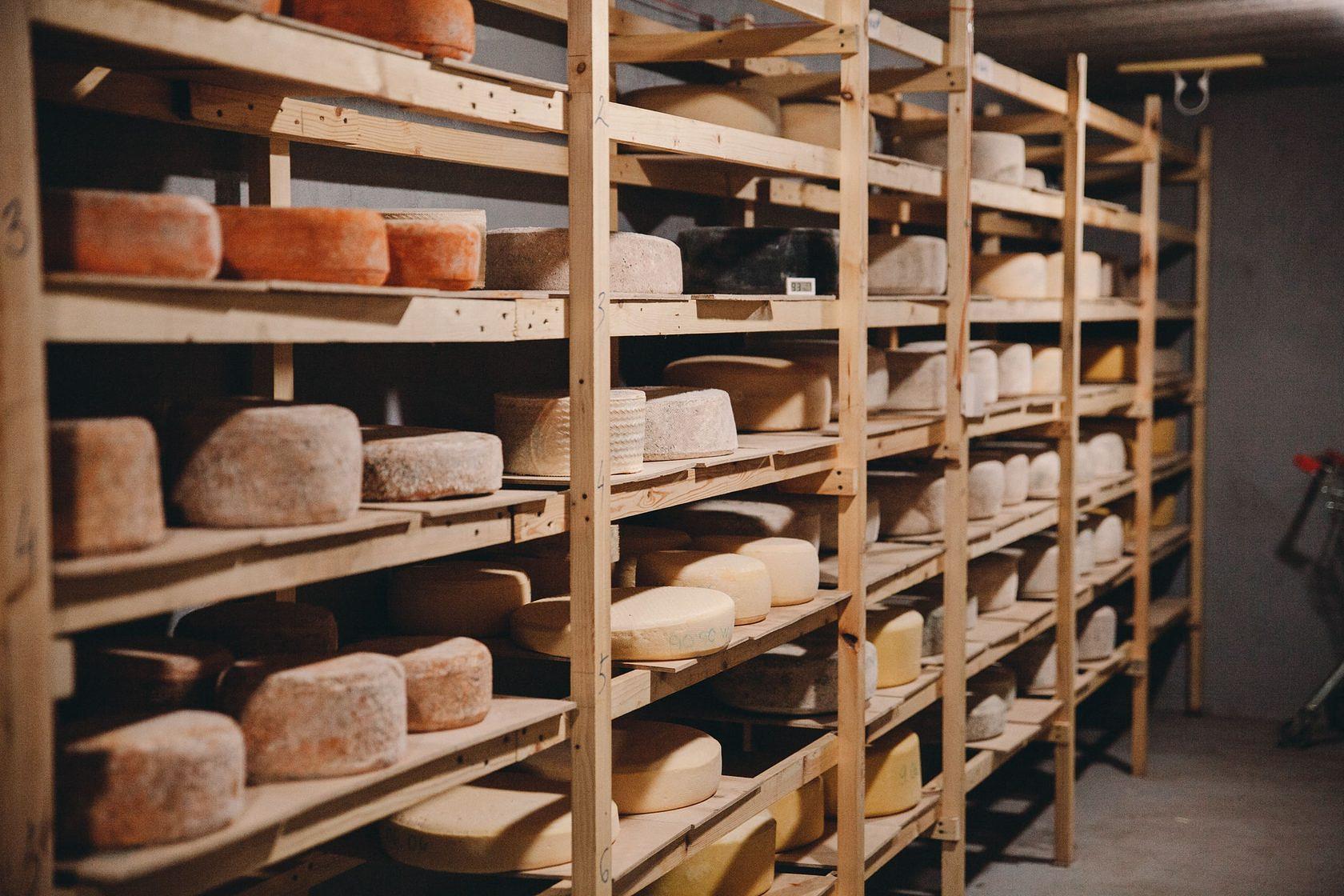 Экскурсия "Сырник-Сытник" -  4 часа.