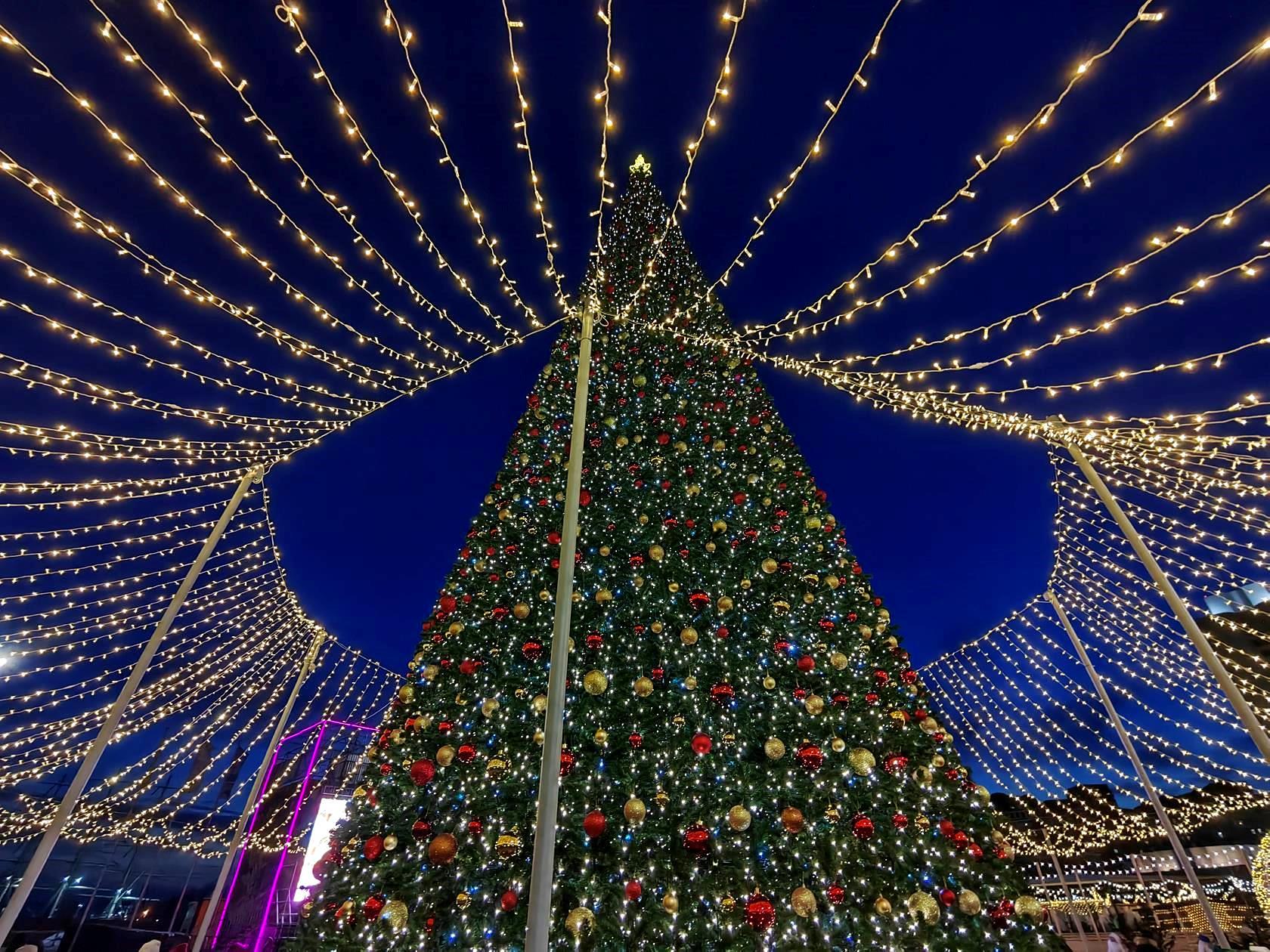 Зимний Владивосток: 5 дней у моря!