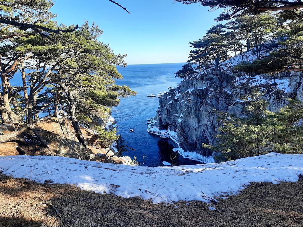 Море.Тигры.Рождество (3-8 января 2026)