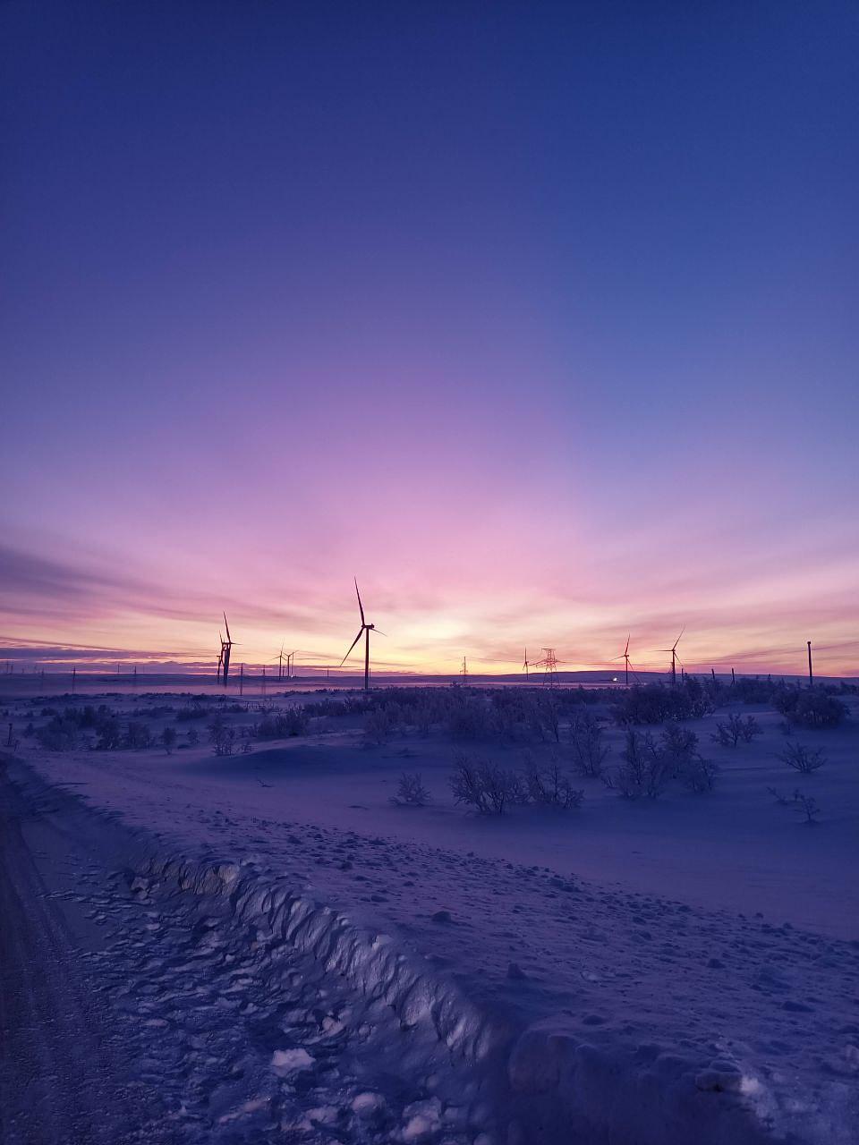 Ешь, лови, кайфуй (новогодний)