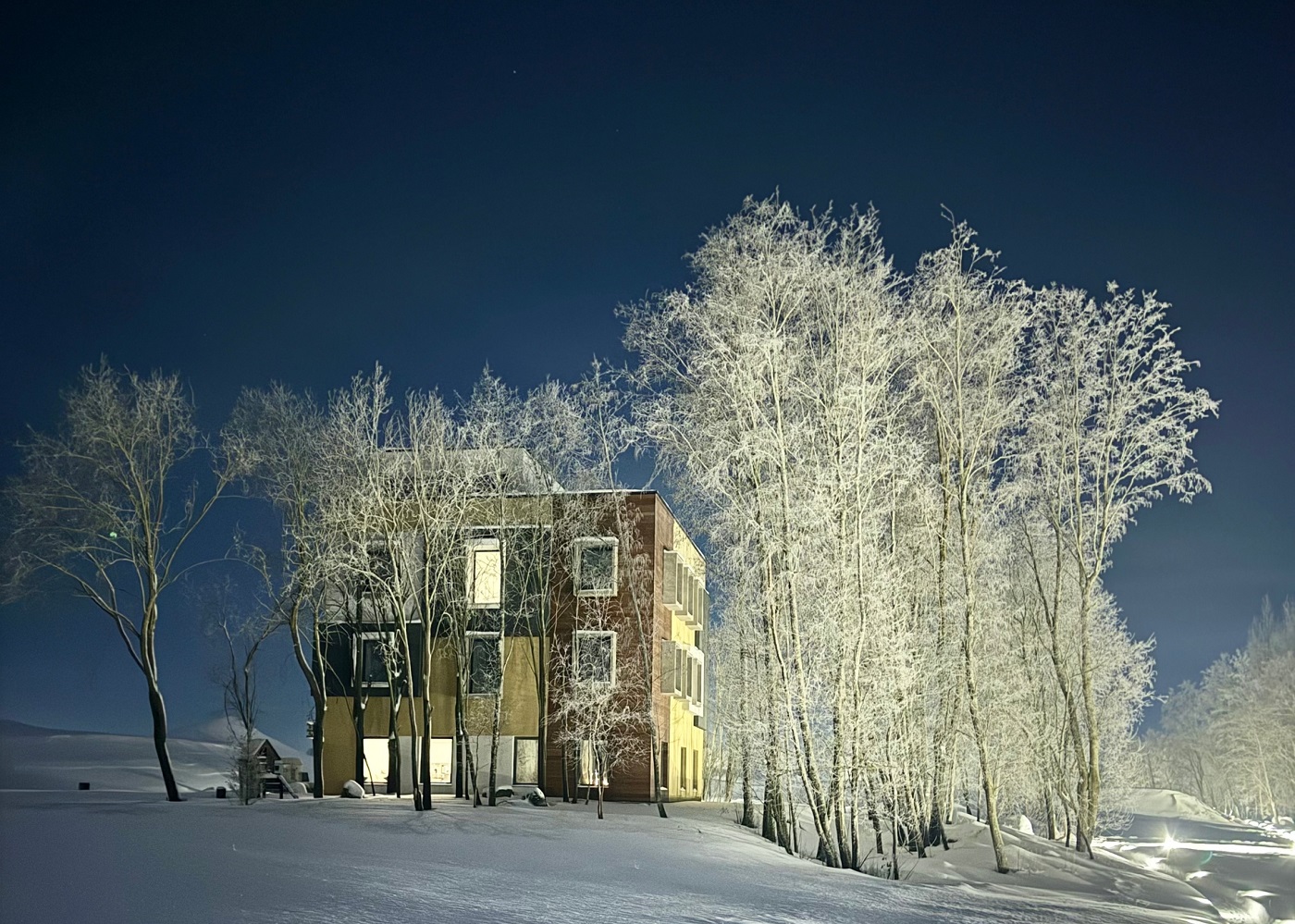 Йога выезд под Санкт-Петербургом