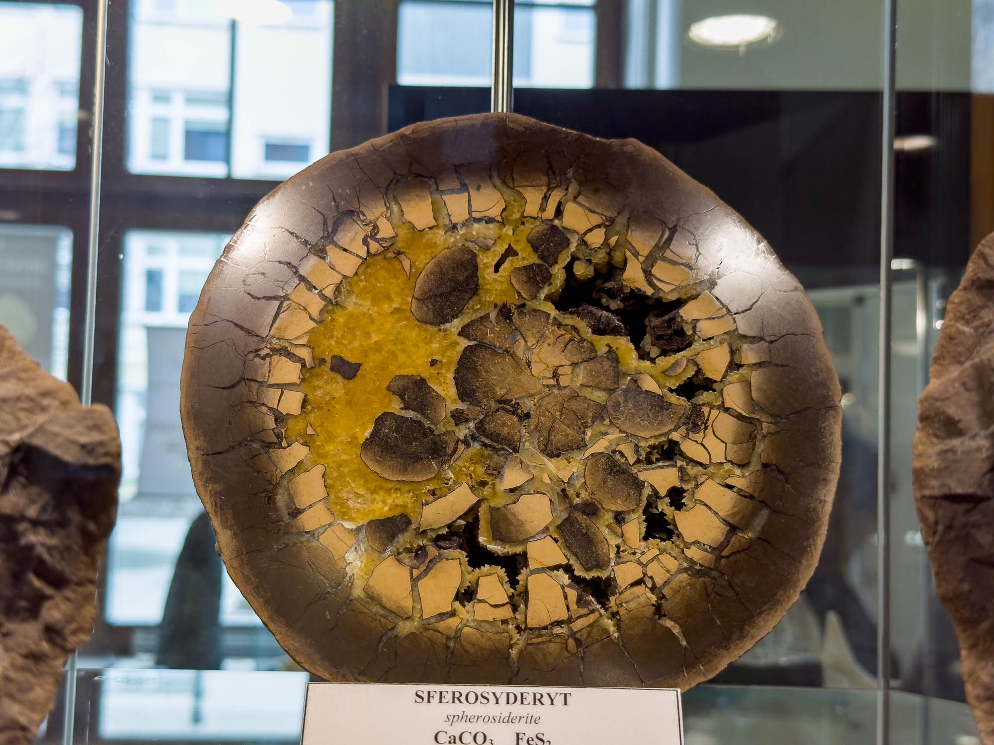 Филиал Минералогического музея Вроцлавского университета