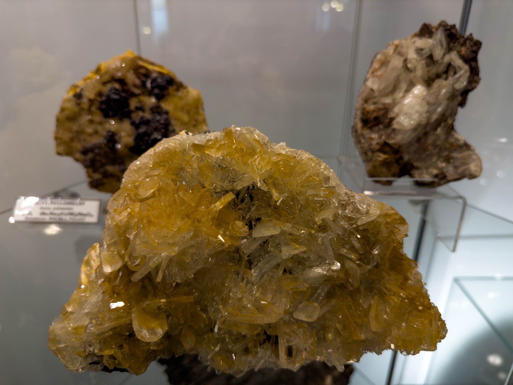 Филиал Минералогического музея Вроцлавского университета