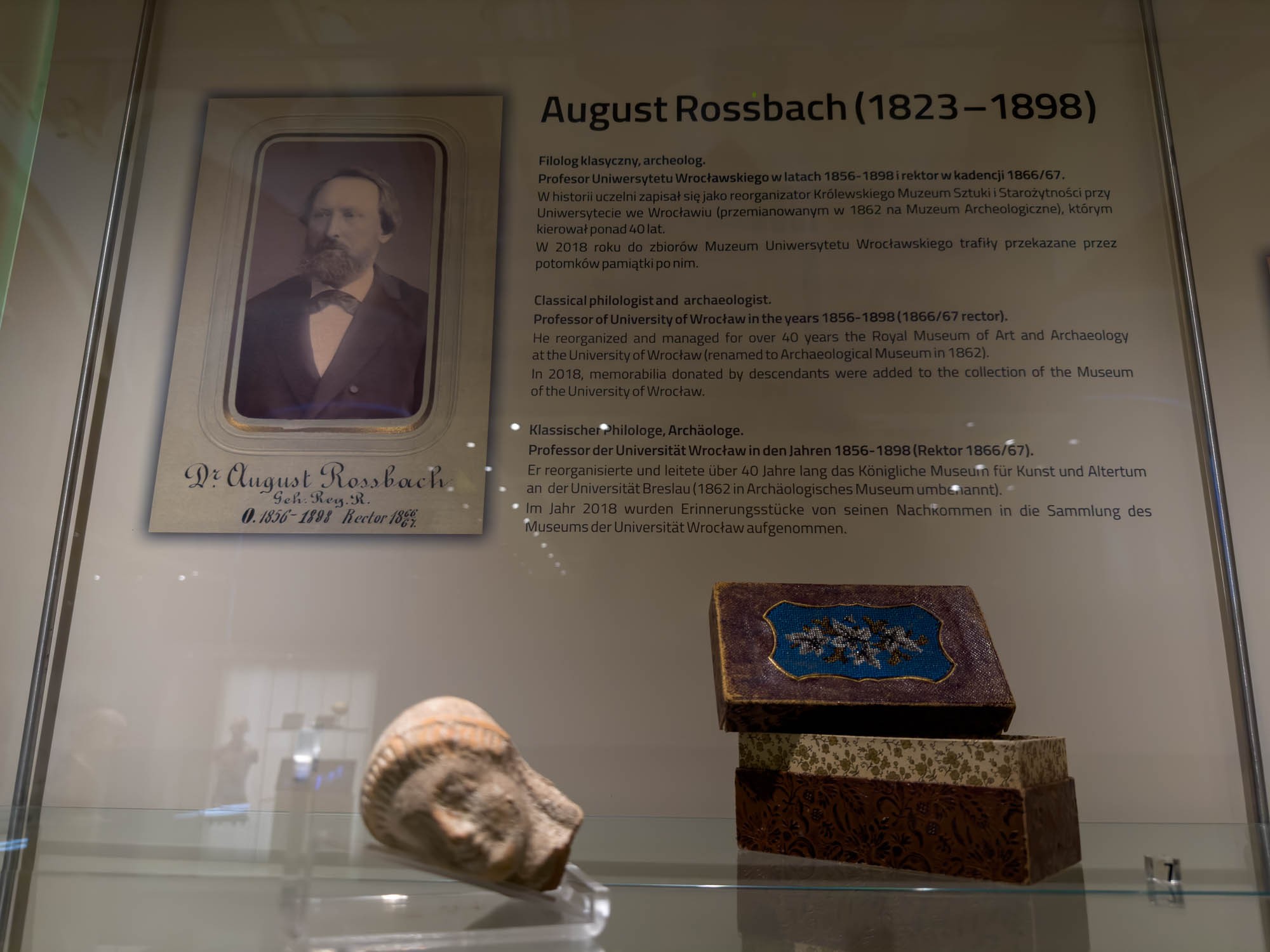 Музей Вроцлавского университета