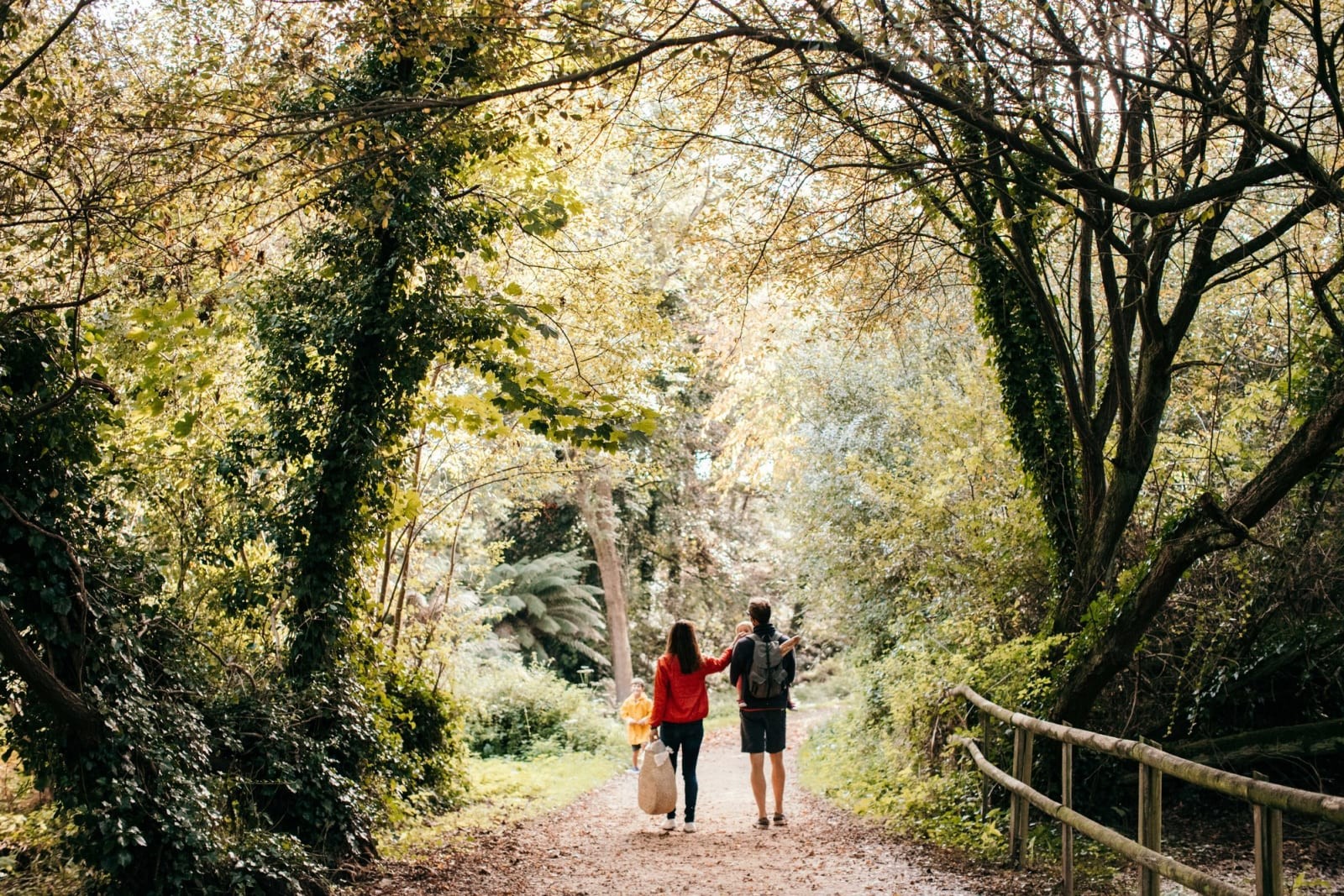 Дендрарий – Забытый лес