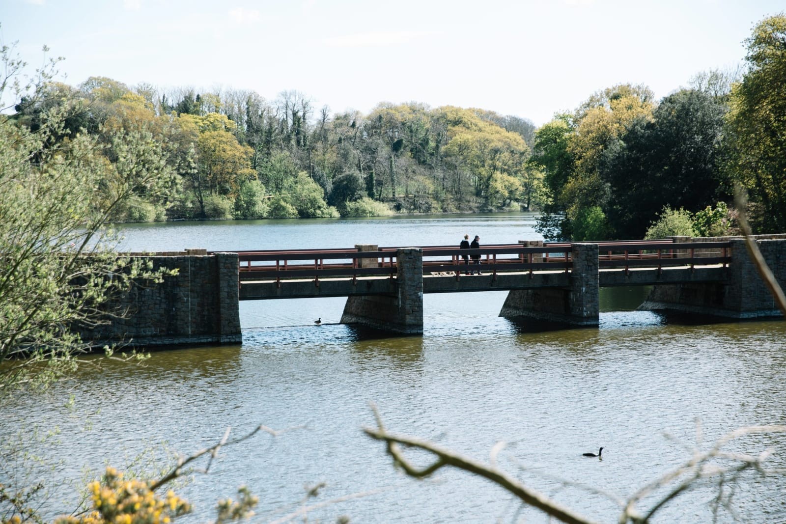 Водохранилище Квинс Вэлли