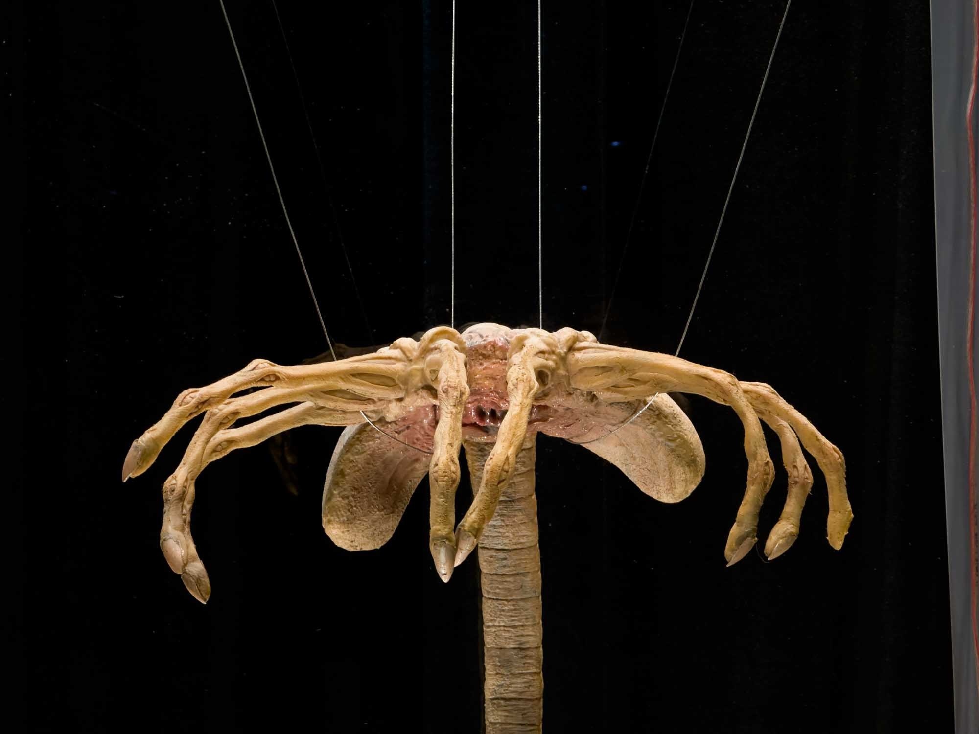 Музей MovieGate