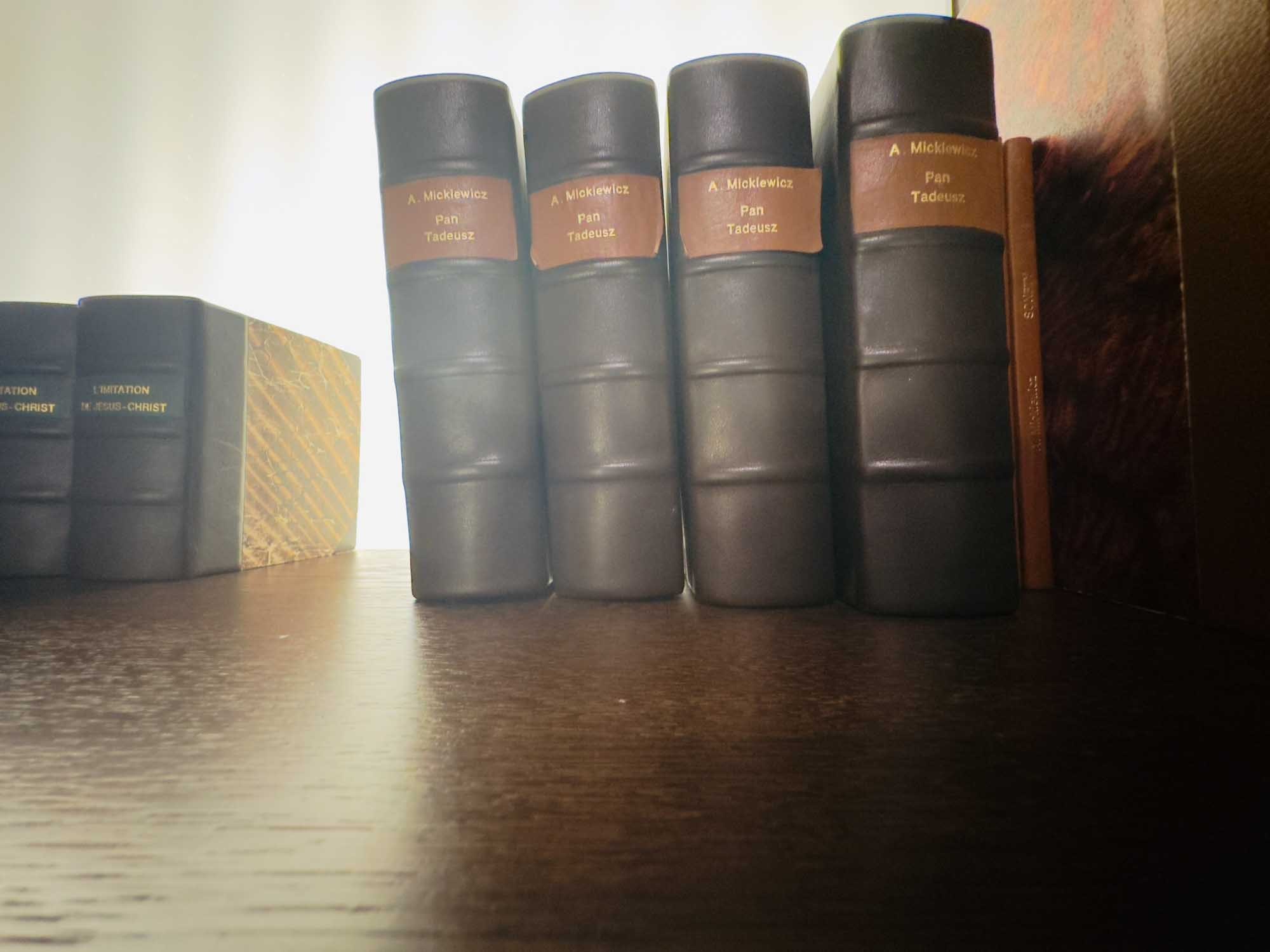 Музей Пана Тадеуша