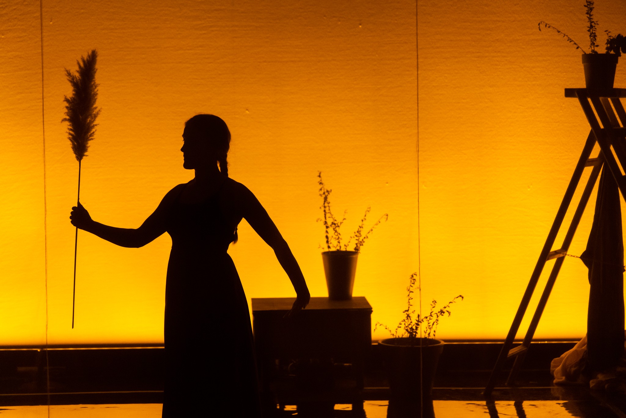 Голуэйский международный фестиваль искусств 