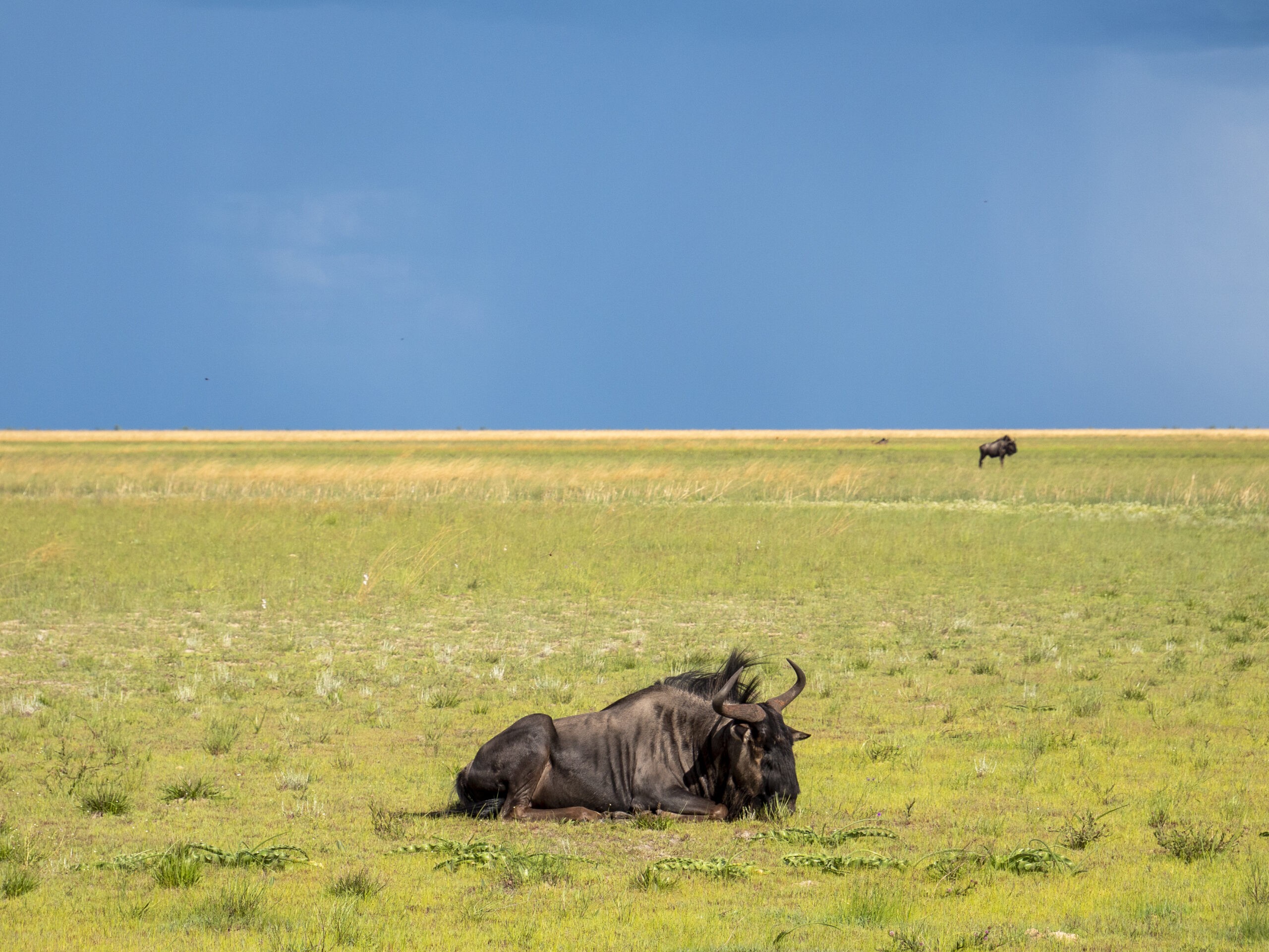 Национальный парк Лиува Плейн