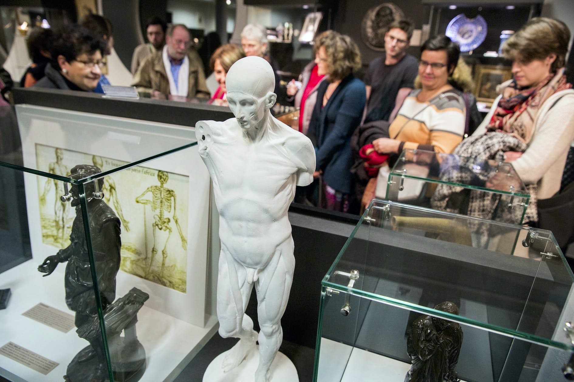 Музеи Свободного университета Брюсселя (ULB)