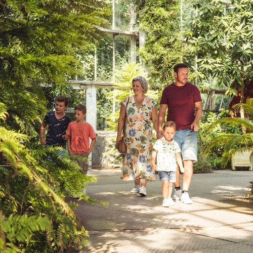 Ботанический сад Мейзе