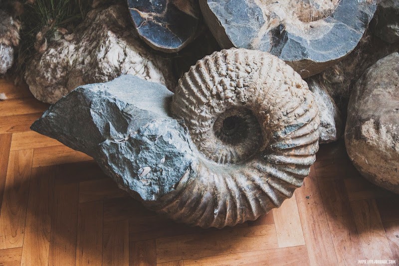 Музей Сад Камней