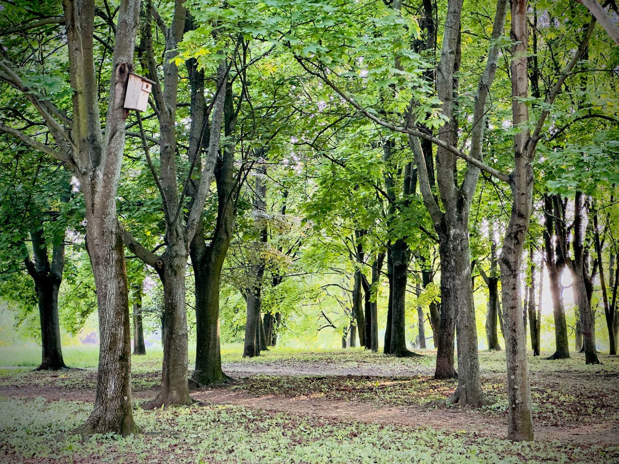 Мокотовское поле