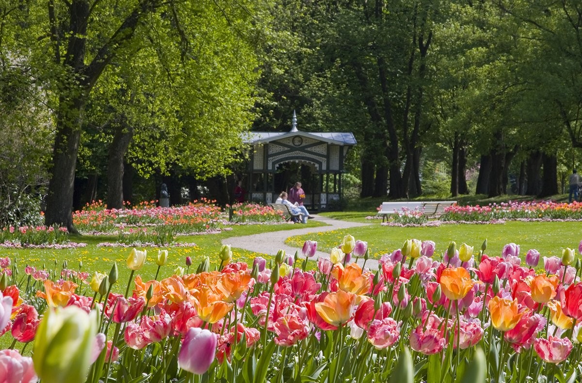Сад Тюльпанов