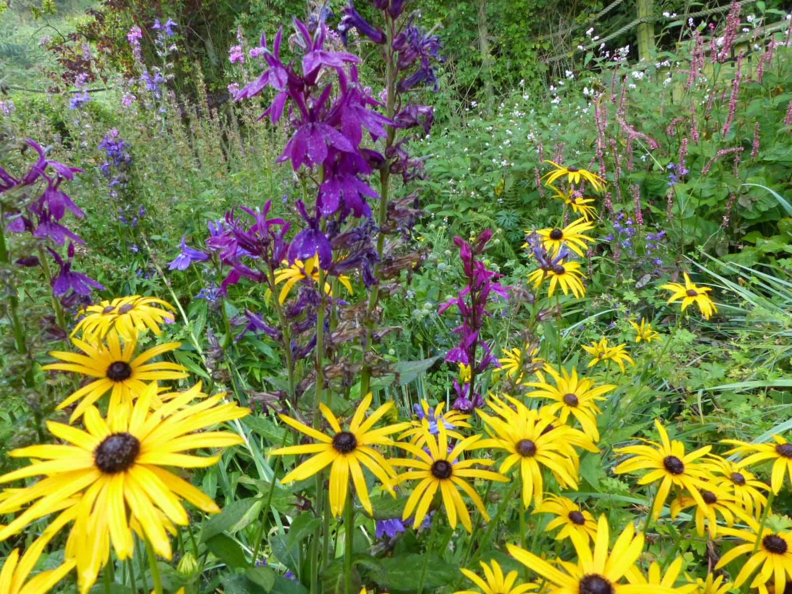 Сад Джудит Куэри