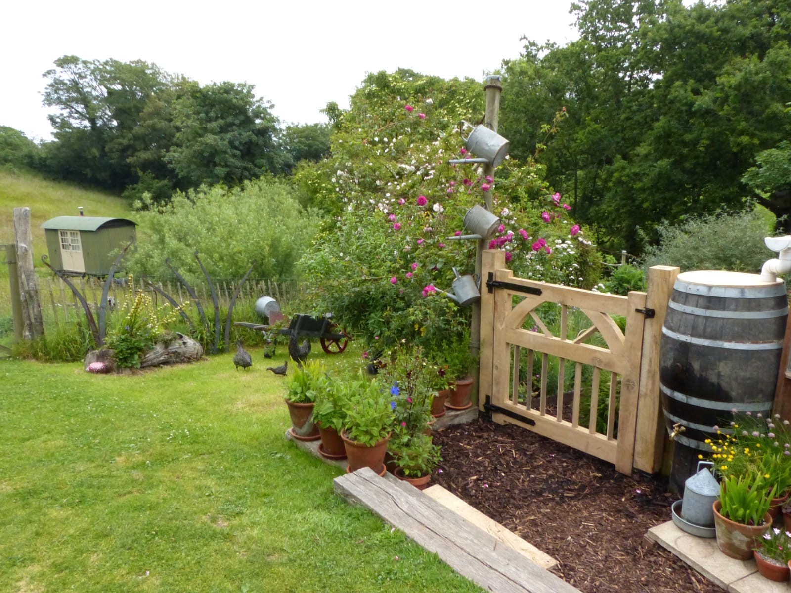 Сад Джудит Куэри