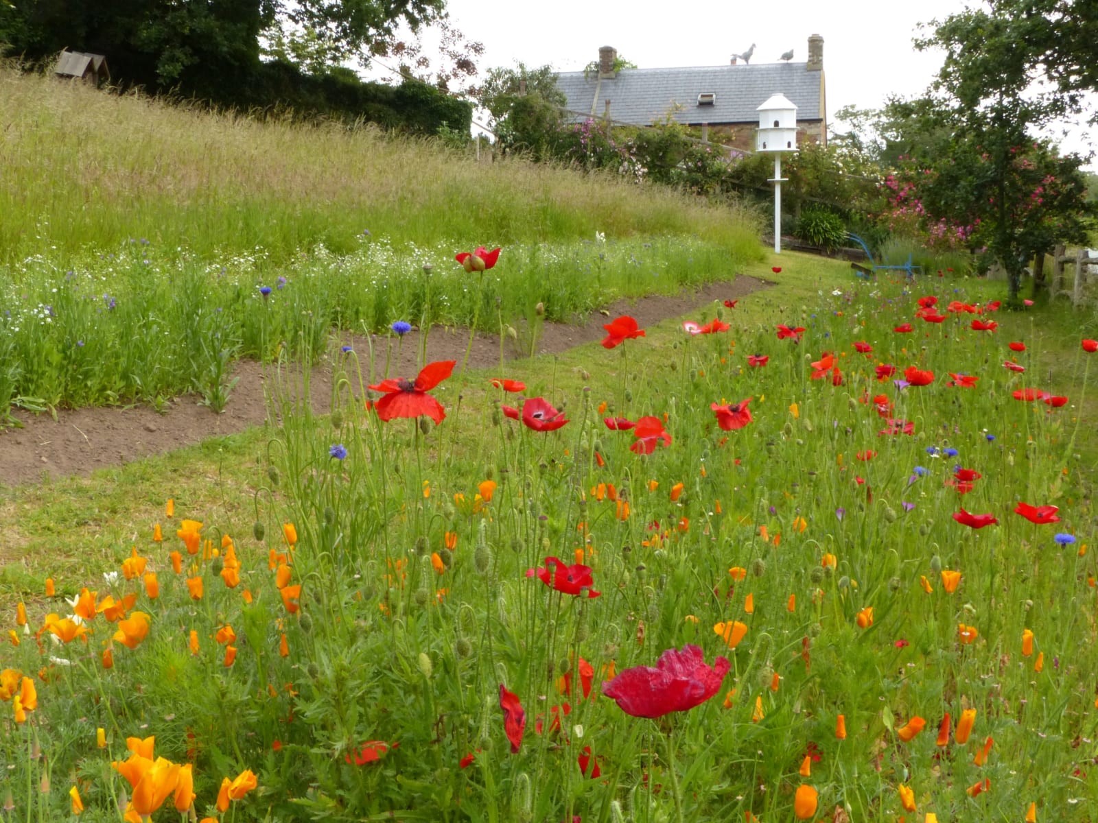 Сад Джудит Куэри