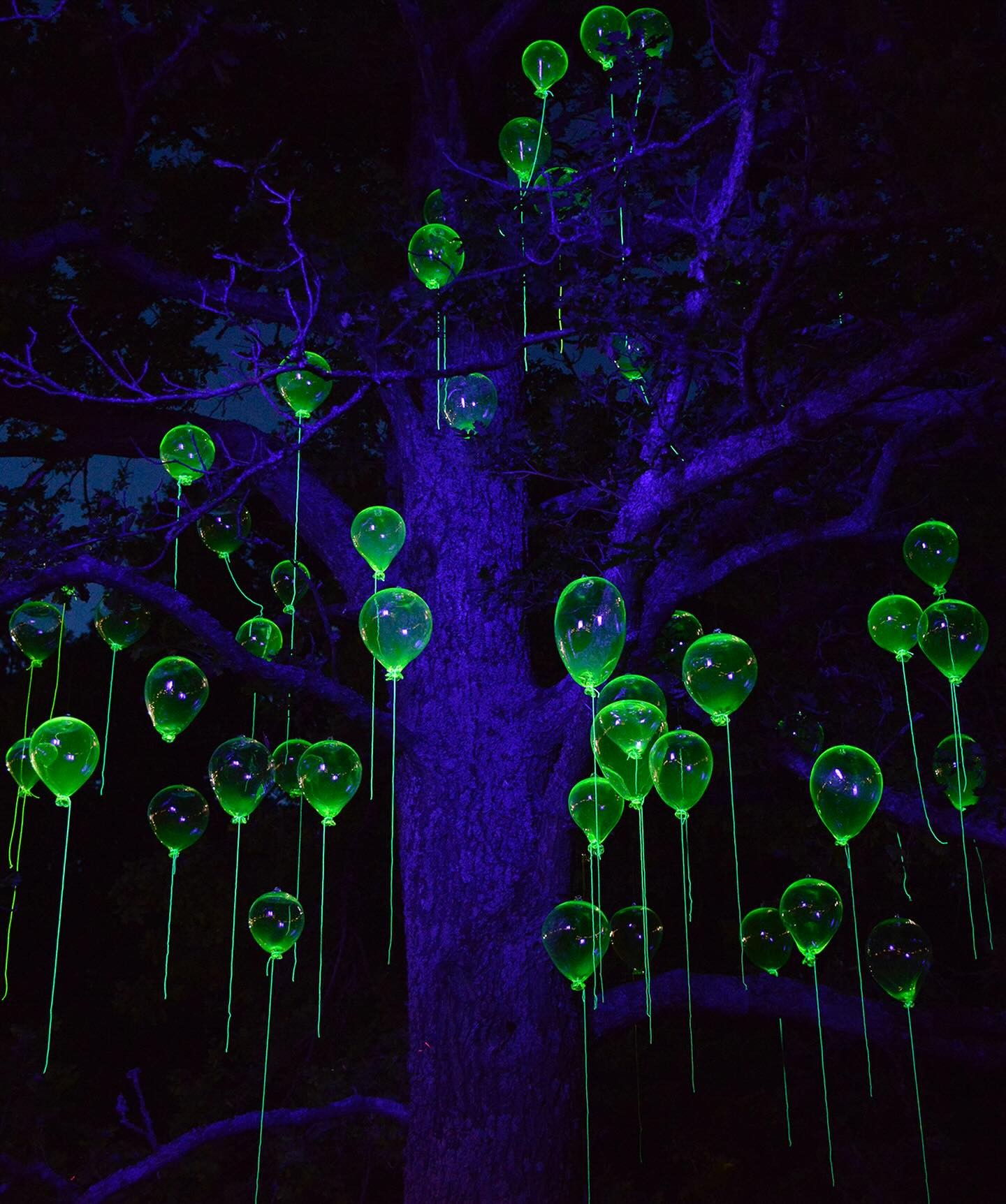 Фестиваль "Rosendal Garden Party"