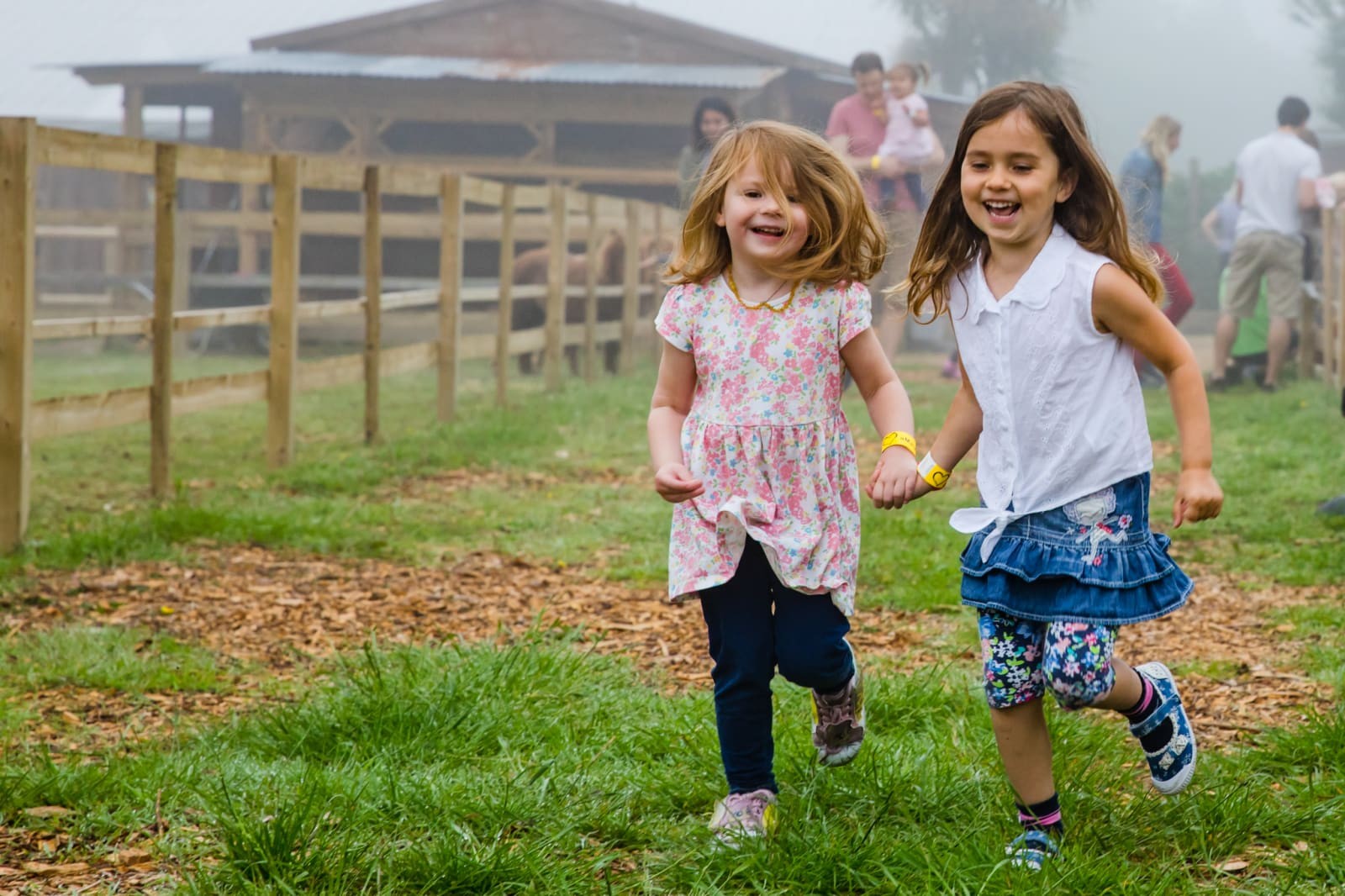 aMaizin! Adventure Park