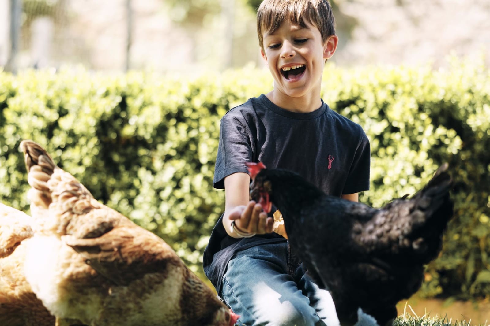 Музей деревенской жизни Хэмптона