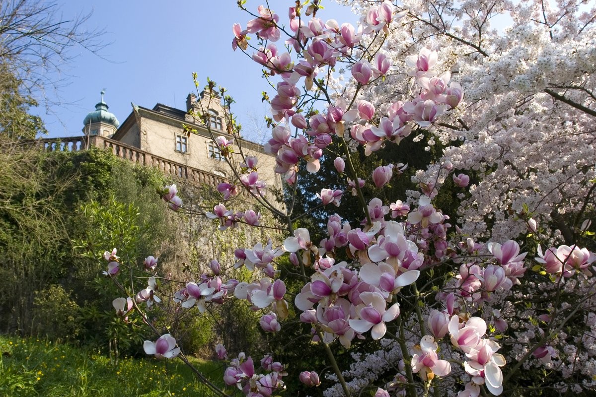 Новый замок