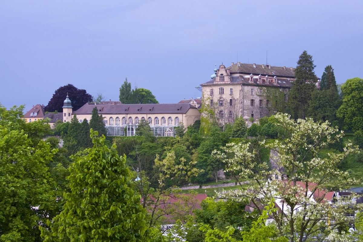 Новый замок