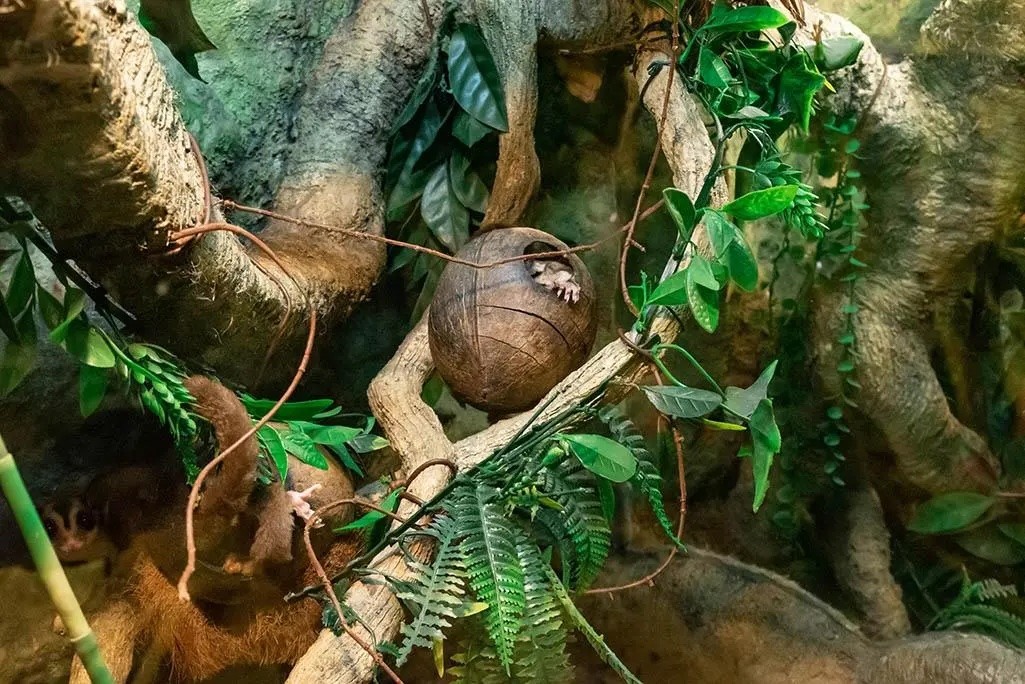 Латгальский зоопарк