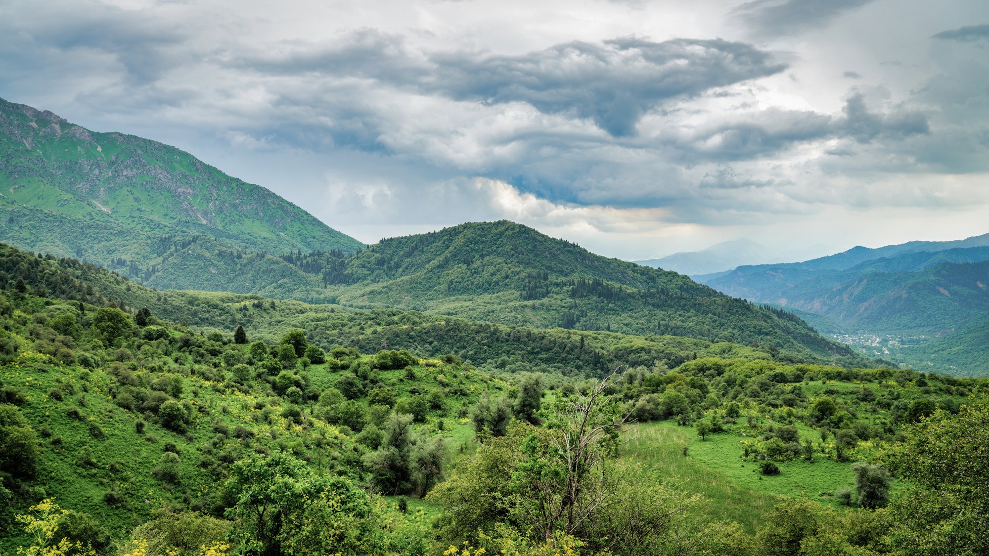 Сары-Челекский заповедник
