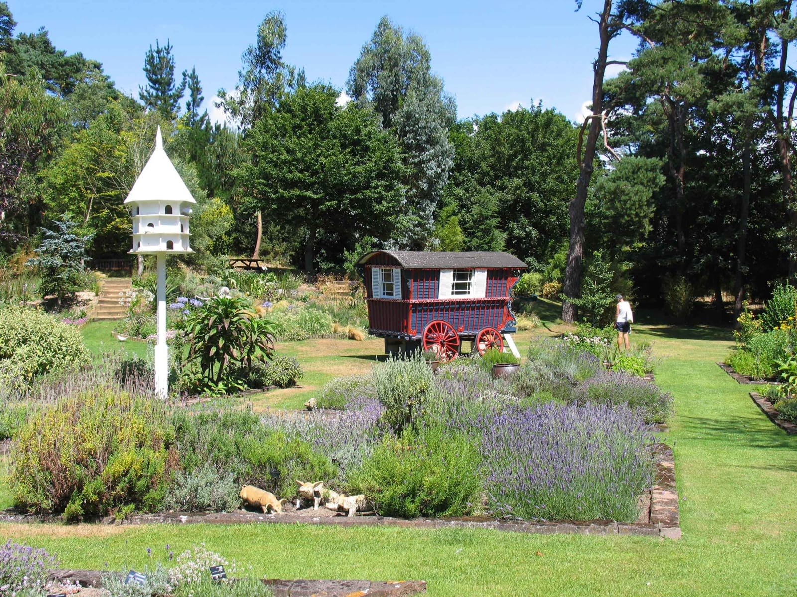 Лавандовая ферма Джерси