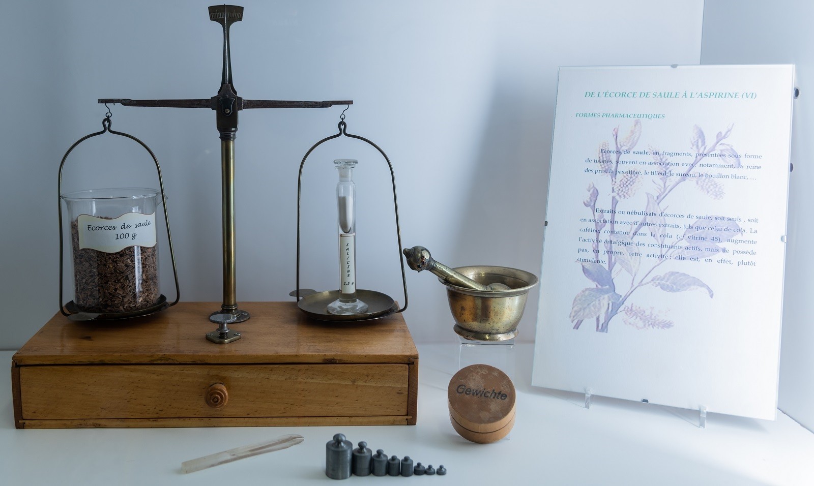 Музей лекарственных растений и фармацевтики (ULB)