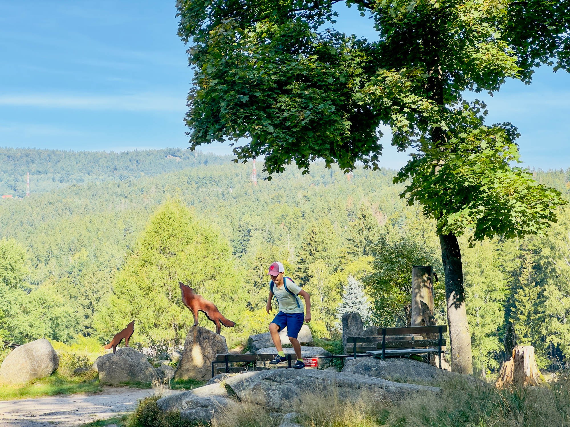 Стара Хата Валонска