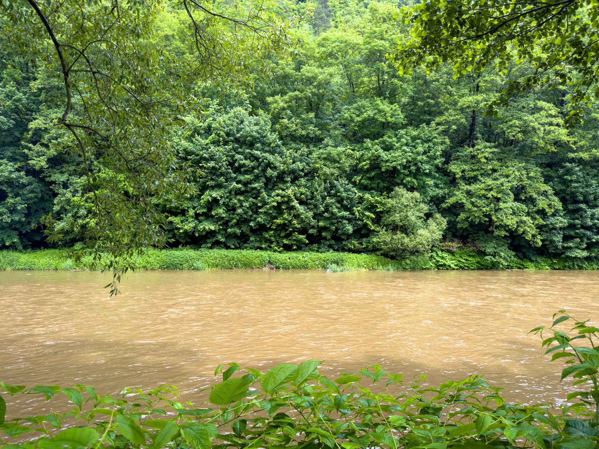 Рафтинг в Бардо