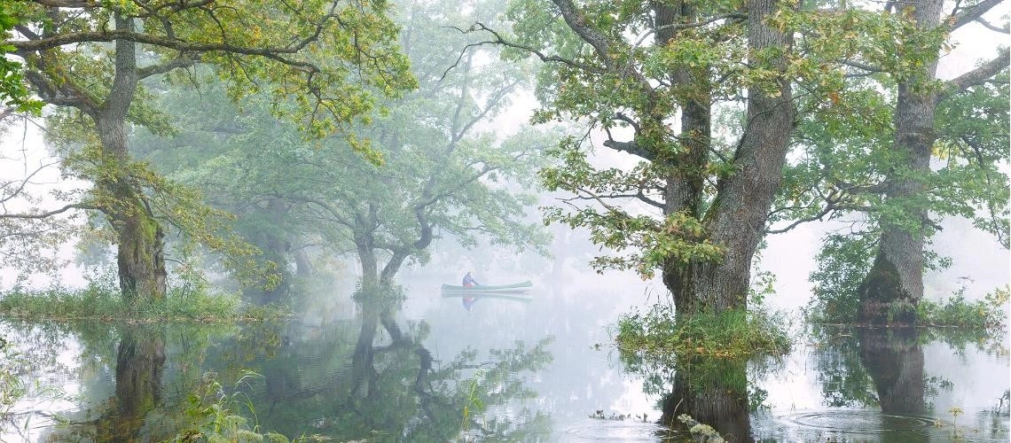 Лучшие направления для природных туров в Эстонии