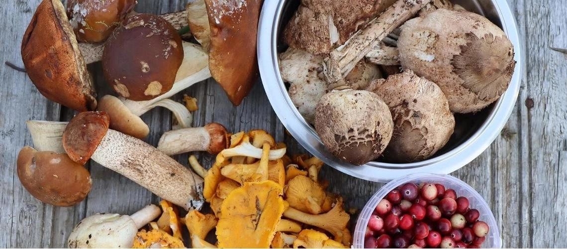 Продукты, которые стоит попробовать осенью в Эстонии