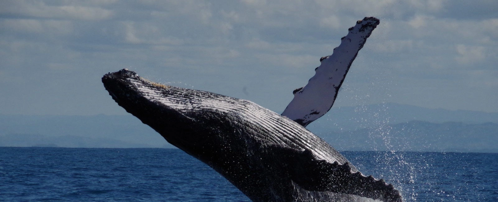 Лучшее на Мадагаскаре фото