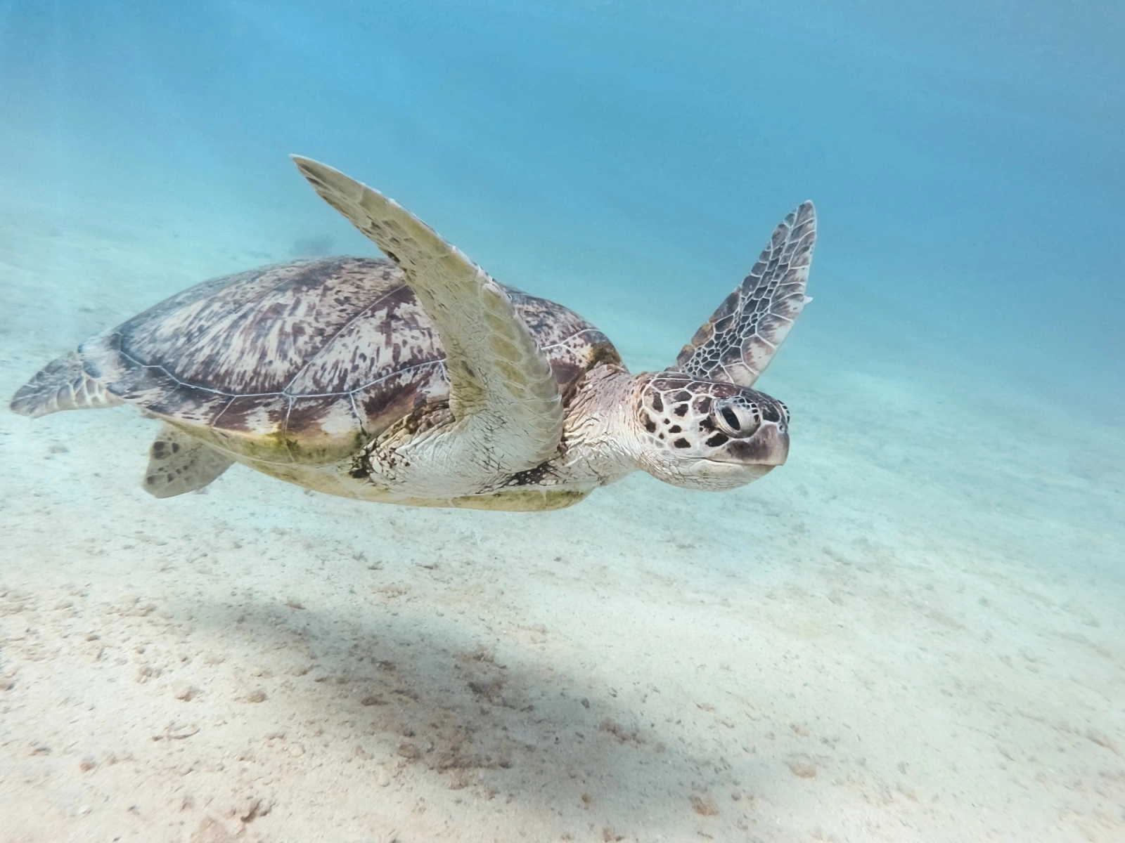 Плавание по забытым берегам: морской отчет и... фото